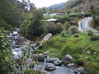 Stream at Savegre Mountain